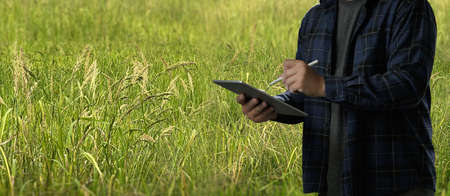 Agriculturist  Young farmers man using tablet computer analysis data check data network in the...