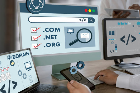 Big Data on a Domain Web Page and SEO Internet Domain Name Registration Domain, Address Internet Network Online Website on a Computerの写真素材