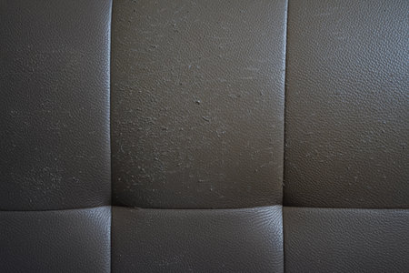 Leather seat is covered in dirt it look unkempt and dirty