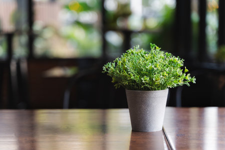 A potted plant sits on a wooden table in a restaurant. The plant is green.の写真素材