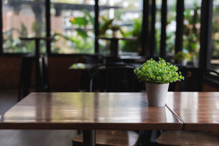 A potted plant sits on a wooden table in a restaurant. The plant is green.の写真素材