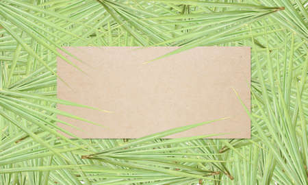 The green cane leaves are arranged beautifully with the spoon liner. Suitable for graphic designers...