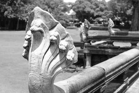 serpentの写真素材