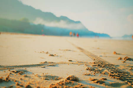 sand beachの写真素材