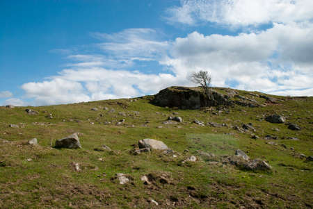 Rocky mound at the Highland Wildlife Park, Scotland