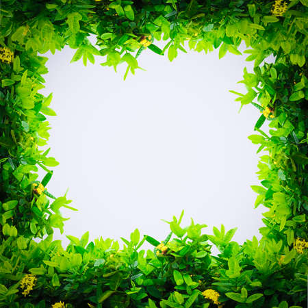 borderの写真素材