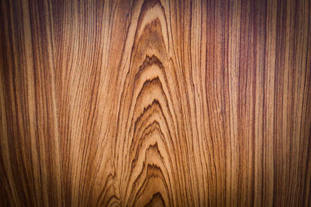 floorの写真素材