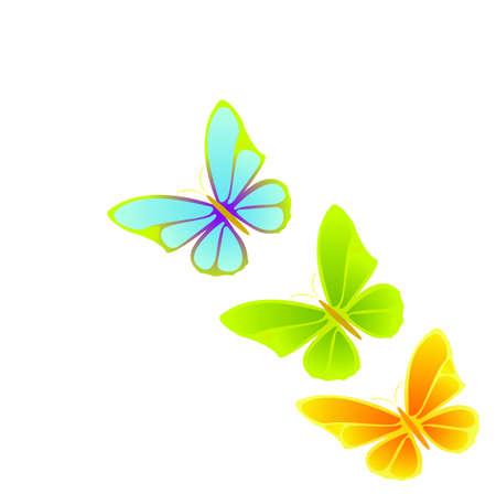 butterflyのイラスト素材