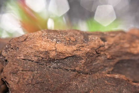 backgroundの写真素材