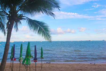 seaのeditorial素材