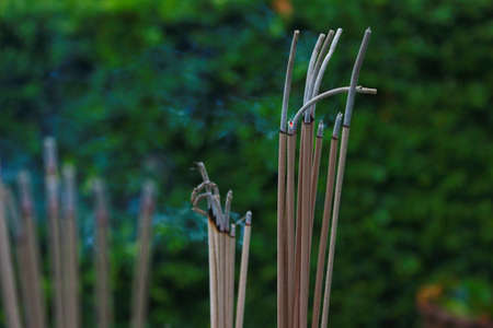 Incense sticks in ashes bucket