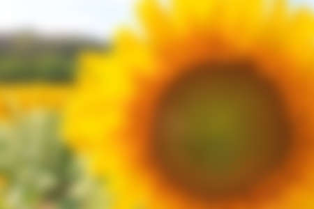 Abstract blurred textured background