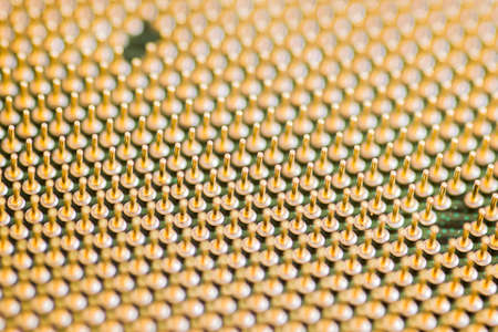 Gilt legs of the processor photographed with increaseの写真素材