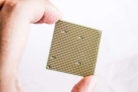 Gilt legs of the processor photographed with increaseの写真素材