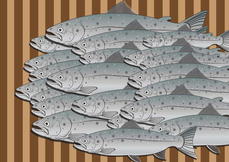 salmonsのイラスト素材