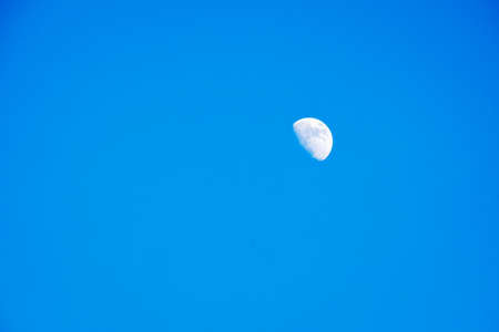 The moon