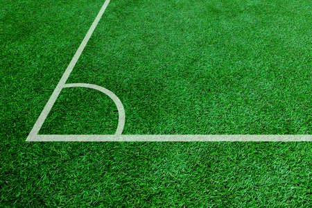 artificial turf of Soccer football fieldの写真素材