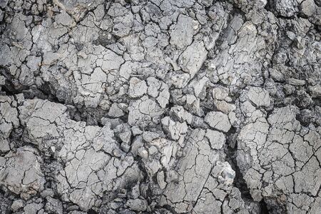 Dried and Cracked ground