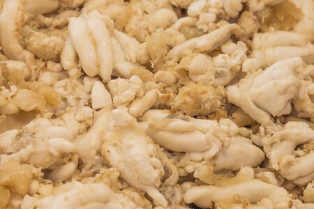 Fried squid egg Deliciousの写真素材