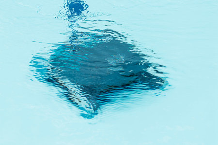 Robot cleaning in the poolの写真素材