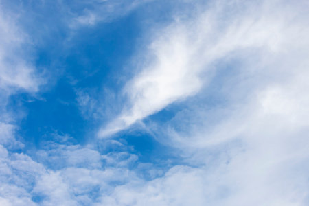 The soft white cloud in the sky