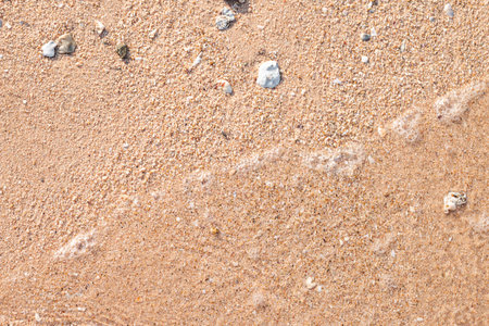 The sea surface has glare