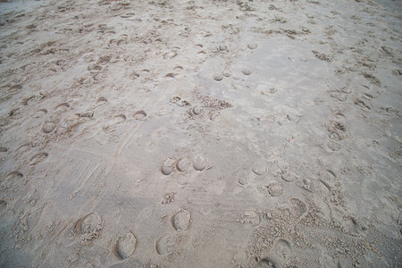 waves on the sea surface