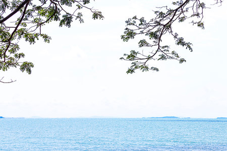 many beautiful white clouds in the skyの写真素材