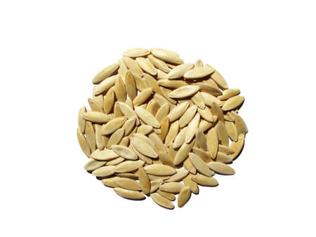 Cucumber seeds on white, backgroundの写真素材