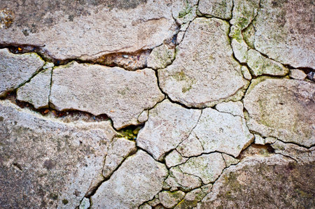 grunge texture background. Old cracked cement wall texture.の写真素材