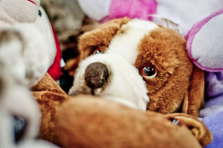 Toy dog with big cheerless eyes between other toys.の写真素材
