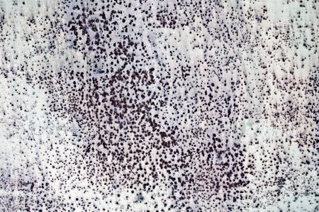 grunge texture. distress background. closeup of grunge painted wall rough structure