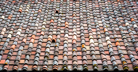 Roof tiles texture. Detail of an old, weathered clay shingle roof. Water damage, lichen.