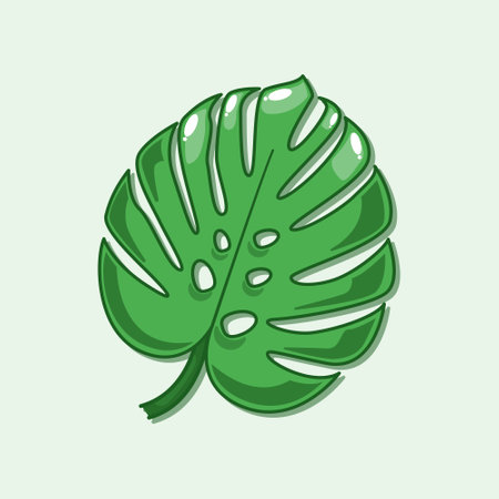 Monstera leaf. cartoon vector illustration. design element for poster, brochure, web, mascot, sticker, logo and icon.のイラスト素材
