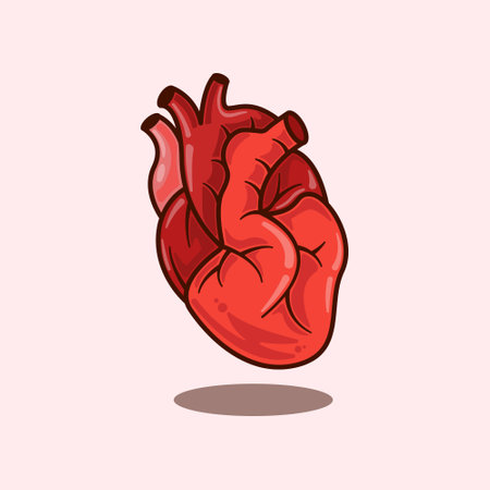 Human heart. cartoon vector illustration. design element for poster, brochure, web, mascot, sticker, logo and icon.のイラスト素材