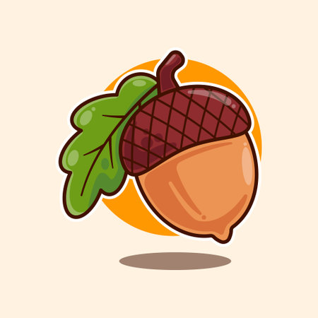 acorn - cartoon vector illustration. design element for poster, brochure, web, mascot, sticker, logo and icon.のイラスト素材
