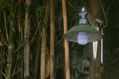 Classic and simple garden lights are in the cafe garden around the houseの写真素材