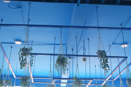 Hanging plants in pots are above the blue cafe room