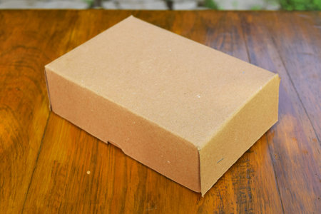 Eco-friendly disposable cardboard packaging for food in brown color