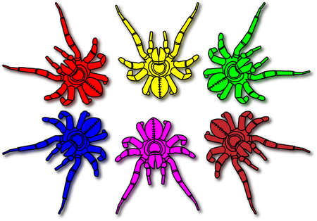 Spider colorsのイラスト素材