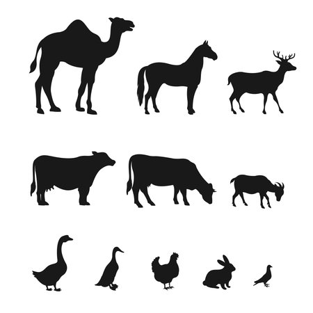 Set Of Silhouette Farm Animal Design Vector