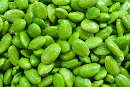 Parkia speciosa seedの写真素材