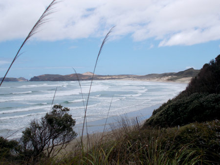 Sand Beach coast with pacific ocean waves on North Island at cape in New Zealand