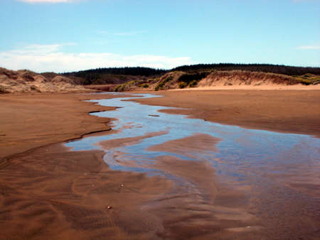 Fresh water stream flowing at ninety mile sand beach out of dunes New Zealandの写真素材