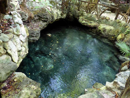 General view of cenote near Chichen Itza in Mexicoの写真素材