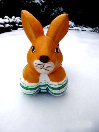 Easter bunny in the snow with copy space for text happy easter in gardenの写真素材