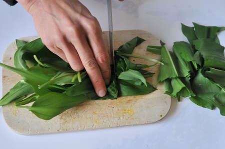 Hands cutting allium ursinum leaves on brown natural cutting board.の写真素材