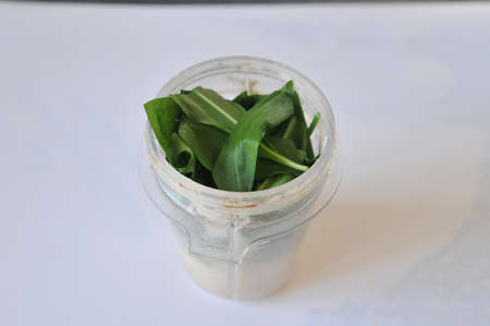 Ramson in mixer on white backgroundの写真素材
