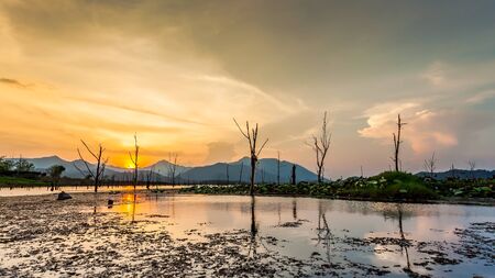 Landscape of dry tree with lake and mountain in sunsetの写真素材