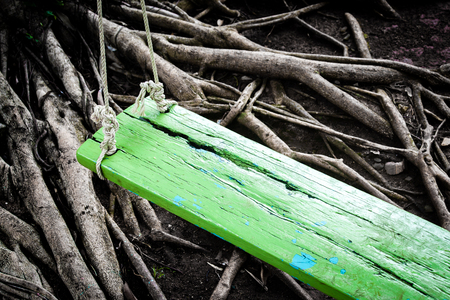 part of colorful swing and root tree blur backgroundの写真素材